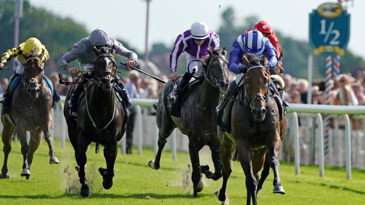 Nunthorpe Tips: 14-1 Arecibo to upset fancied three-year-olds